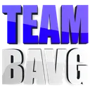 Team BAVG