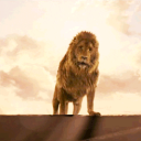 Order of the Lion