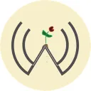 The Werky Discord