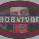 Bobvivor Hub