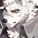 Comunidad Wolf Project Team Discord Server Icon