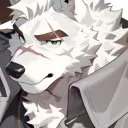 Comunidad Wolf Project Team Discord Server Icon