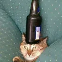 easy day productions Discord Server Icon