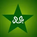Pakistan cricket league's icon