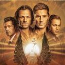 Supernatural RPC Discord Server Icon