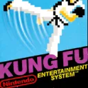 Kung Fu (NES)