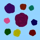 BlossomCherrie's garden