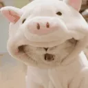 COCHINAS MARRANAS