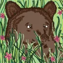 bear cave