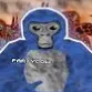 monkey server