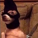 Heyyyyyyyy Discord server icon