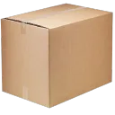 The Cardboard Box