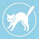 ねこ活動