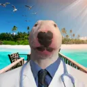Placenta Paradise discord icon