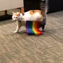 New Things Discord Server Icon