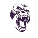 APE Academy