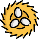 Dev Nest