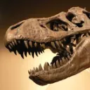 Paleontologia - grupa polskojęzyczna