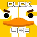 Mr.DuckLife server