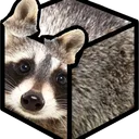 The Raccubes Hangout