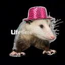 jAM1R0kWA1! Discord server icon