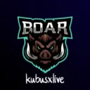Kubus gang