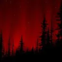 𓂃⋆˙🌹 𝐁𝐮𝐧𝐧𝐢𝐢'𝐬 𝐂𝐚𝐟𝐞