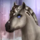 𝑱𝒐𝒚’𝒔 𝑹𝒆𝒒𝒖𝒆𝒔𝒕𝒔
