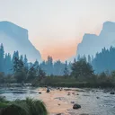 wayward wanderers