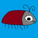 Beetle's Stuff