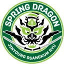Spring Dragon Martial Arts