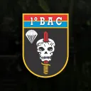 1° Batalhão de Ações de Comandos