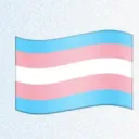 Trans Memes