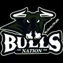 BULLS NATION 🐃