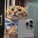 Cafofo do DCzin 🐈