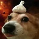 wizerwolf