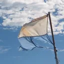 しずきゅんないとふぃーばー