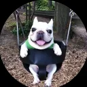 h0mixide Discord Server Icon