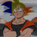 DRAGON BALL RO Discord Server Icon