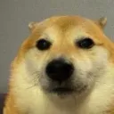 𝕶𝖎𝖓𝖌𝖉𝖔𝖒