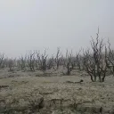 No Mans Land
