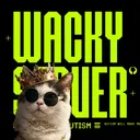The Wacky Server