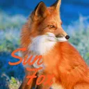 「SUNFOX」SwitchApex募集コミュニティー