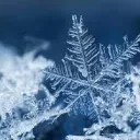 Nevascos❄