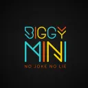 BiggyMini Server