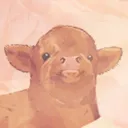 Fluffiest Cows