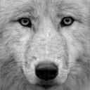 Alpha Trading