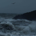 ✧ ˚ 　· 　ocean　 . Discord server icon