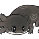 Funny Fish Studio