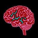 Intellect Records
